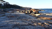 Bicheno Blowhole