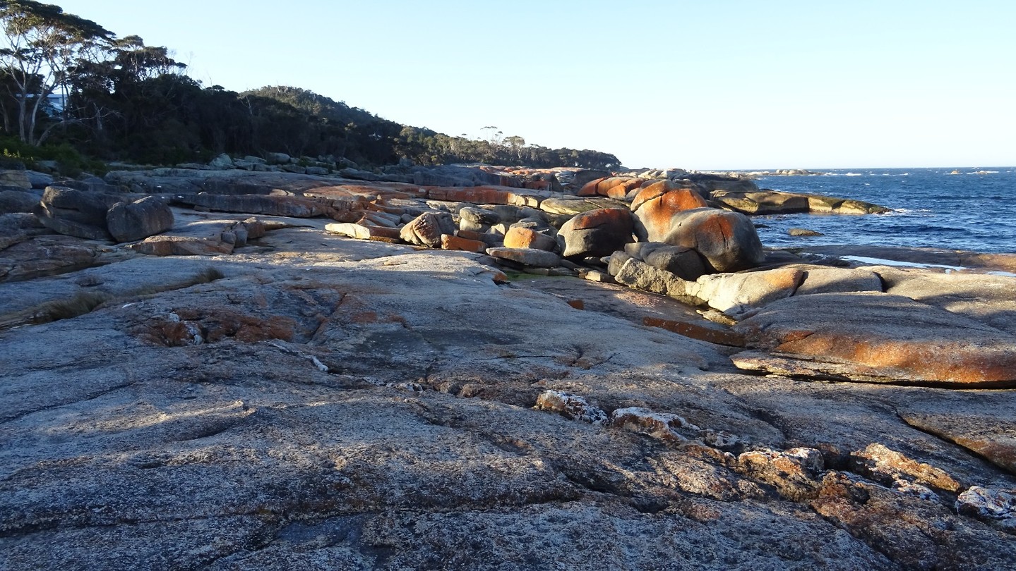 Bicheno Blowhole
