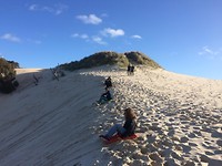 Sandsleding on the Henty Dunes
