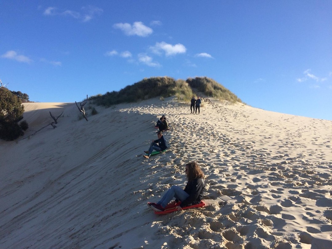Sandsleding on the Henty Dunes