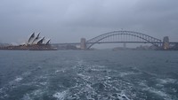 Sunset cruise in Sydney Harbour