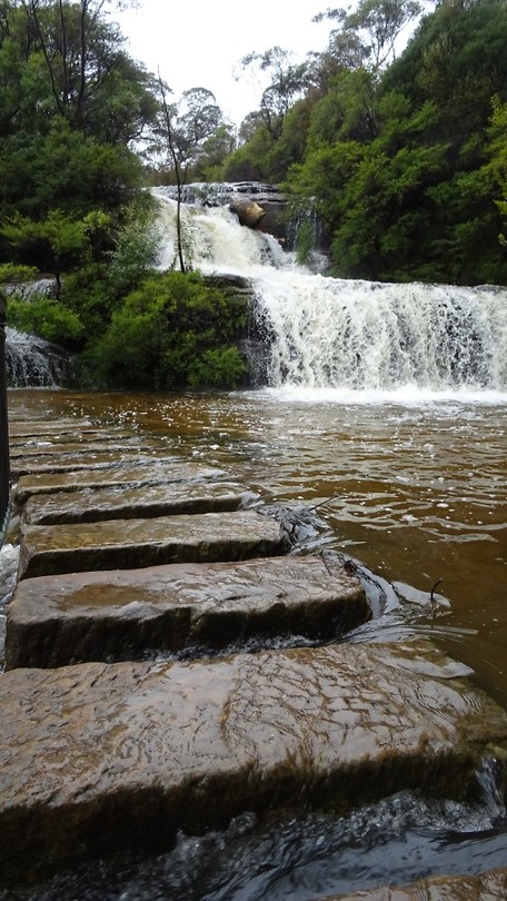 Hiking at Wentworth Falls