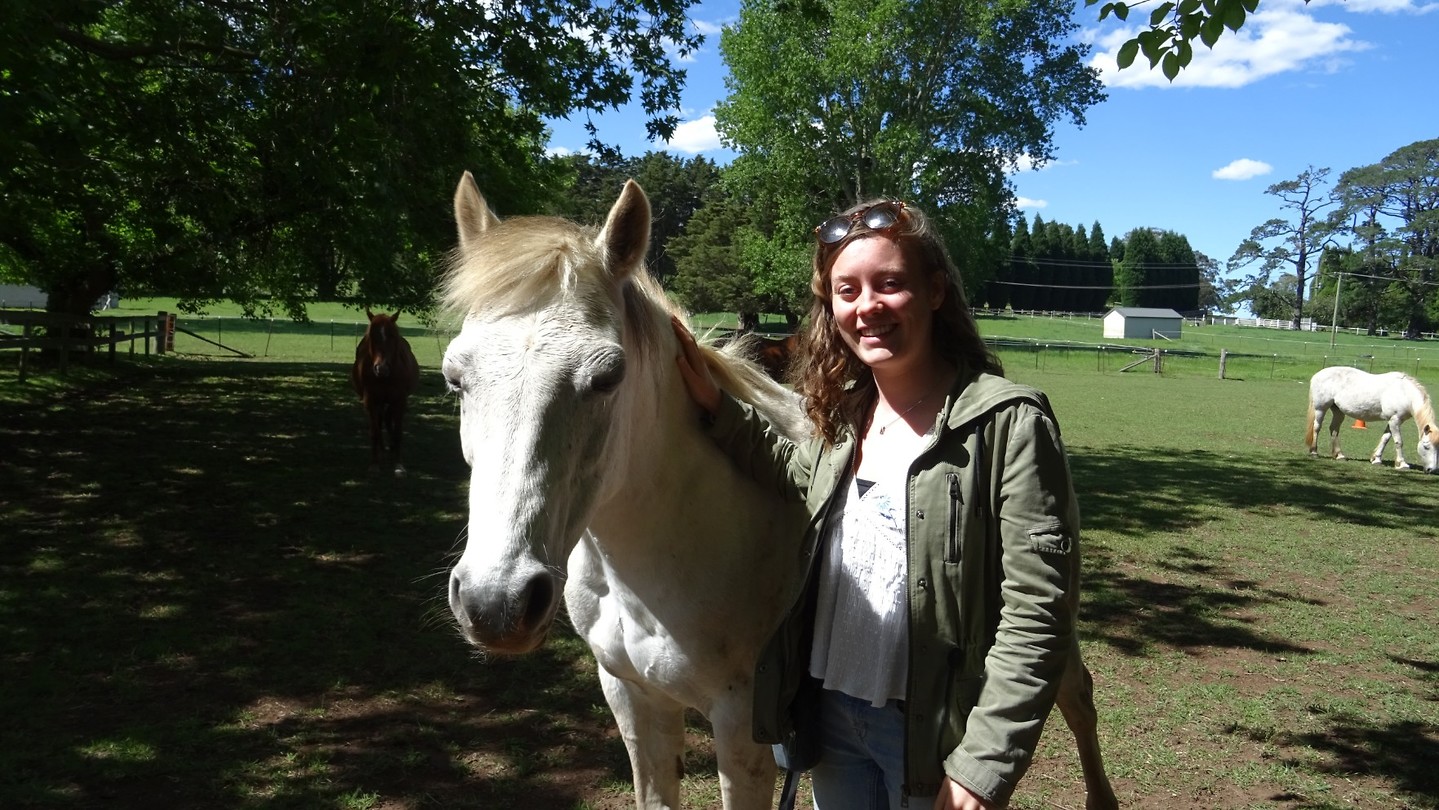 At Maddie's farm