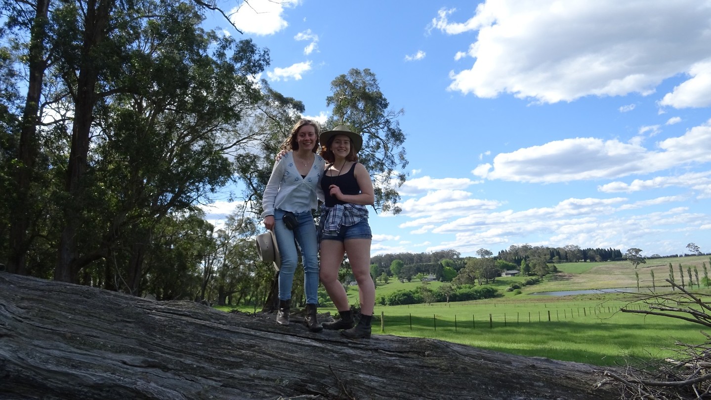 At Maddie's farm