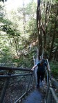 Hiking around The Three Sisters