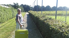 Bijna thuis