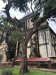 Bagan