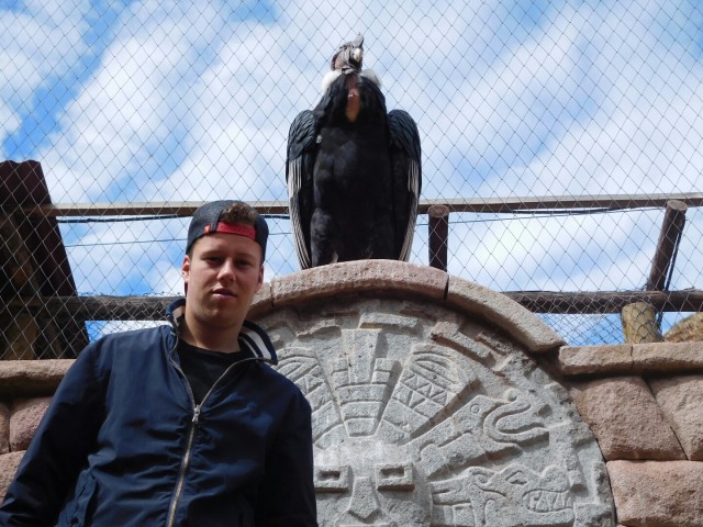 Stijn met condor