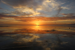 IMG_0845[1]