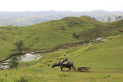 IMG_1162[1]