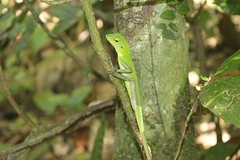 IMG_4457[1]