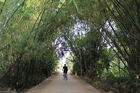 IMG_5348[1]