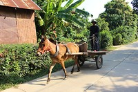 IMG_5330[1]