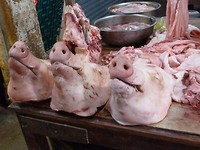 P1130802[1]