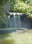 P1130956[1]