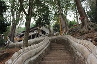 IMG_5455