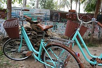 IMG_5515
