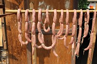 IMG_5516