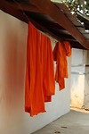 IMG_5520