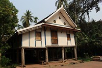 IMG_5532