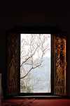 IMG_5561