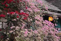 IMG_5576