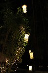IMG_5586