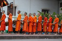 IMG_5732