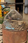IMG_5629