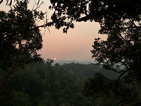 P1160011