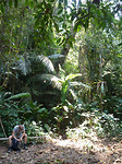 P1160005