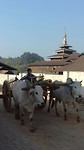 IMG-20170406-WA0005