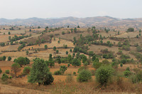 IMG_6410