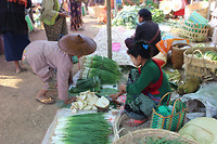 IMG_6785
