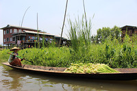 IMG_6863