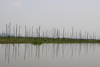 IMG_6865