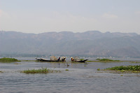 IMG_6887