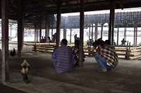 IMG_0388