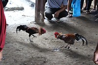 IMG_0408