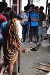 IMG_0414