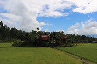 IMG_0442