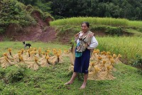 IMG_0449