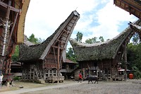 IMG_0466