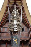 IMG_0474