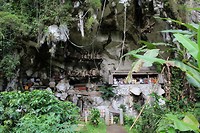 IMG_0530