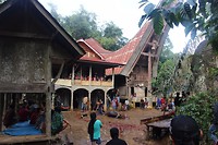IMG_0543
