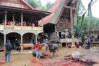 IMG_0569
