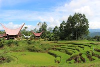 IMG_0585