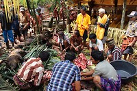 IMG_0602
