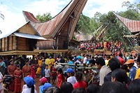 IMG_0696